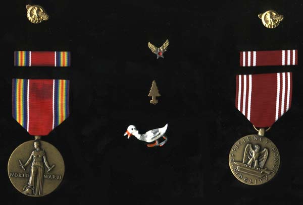 Edward Nielsen World War 2 Medals USA