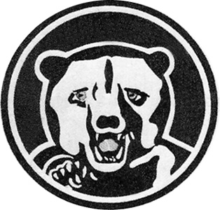 73rd Bombardment Squadron